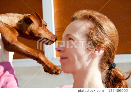 brown mini pinscher dog and redhead owner brown mini pinscher dog and redhead owner 122486003