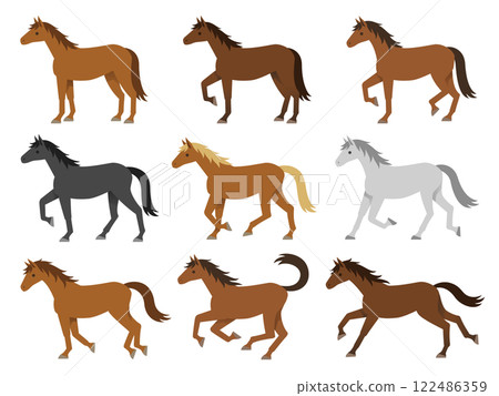 各種毛色的馬的插圖集 122486359