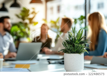 Group Collaboration in Modern Office Space with Indoor Plants and Laptop on Conference Table Group Collaboration in Modern Office Space with Indoor Plants and Laptop on Conference Table 122486573