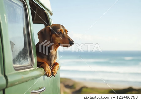 Dachshund Sitting by the Window of a Vintage Camper Van at the Beach 122486768