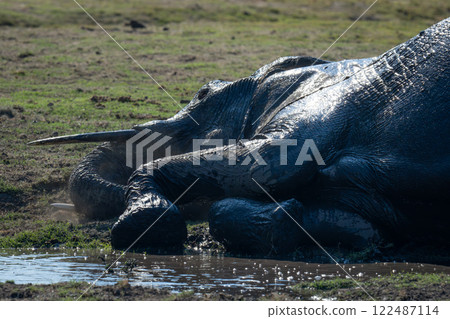 Close-up of African elephant lying on riverbank Close-up of African elephant lying on riverbank 122487114