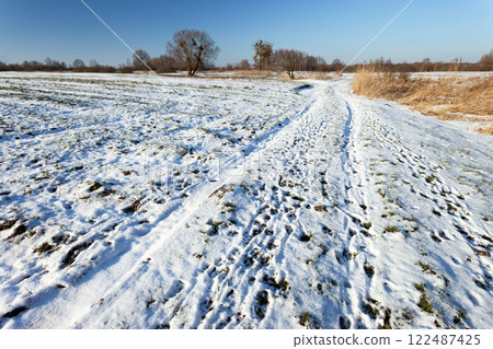 Snow on a dirt road and field on a sunny winter day 122487425