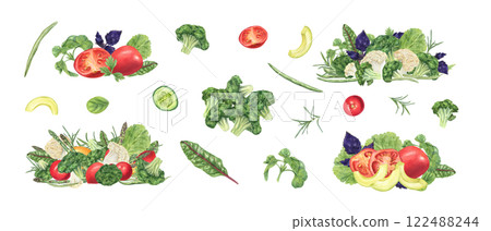 Fresh vegetable salads clip art watercolor set illustration isolated background. Tomatoes, broccoli, cauliflower, bean, cucumber slices, avocado, seasoning herb leaves. Healthy food for vegan menu Fresh vegetable salads clip art watercolor set illustration isolated background. Tomatoes, broccoli, cauliflower, bean, cucumber slices, avocado, seasoning herb leaves. Healthy food for vegan menu 122488244