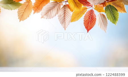 Vibrant Autumn Leaves Displaying a Spectrum of Warm Colors on a Branch 122488399