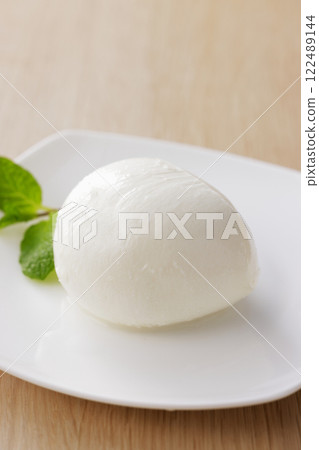 馬蘇里拉奶酪 122489144