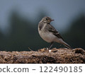 A small bird in a picturesque place 122490185