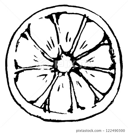 Illustration of a cross section of a lemon 122490300