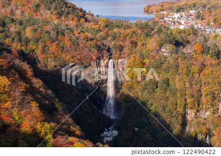 楓樹 紅楓 楓葉 122490422