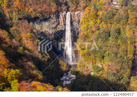 maple, yellow leafe, lake chuzenji 122490457