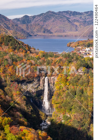 楓樹 紅楓 楓葉 122490464