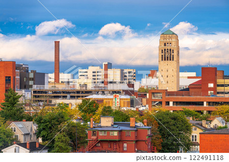 Ann Arbor, Michigan, USA Town Skyline 122491118