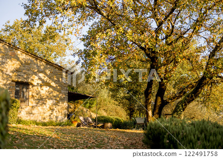 Rustic Patio Under Autumn Trees 122491758