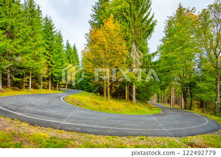A picturesque road gently curves through vibrant green trees and colorful foliage, inviting travelers to explore the serene beauty of nature. The tranquil setting captures autumn's charm. 122492779