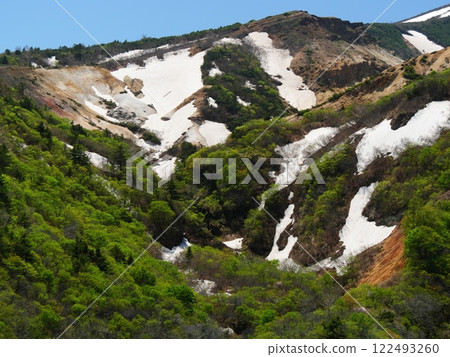 Spring in Zao Komakusadaira (Karita District, Miyagi Prefecture) Spring in Zao Komakusadaira (Karita District, Miyagi Prefecture) 122493260
