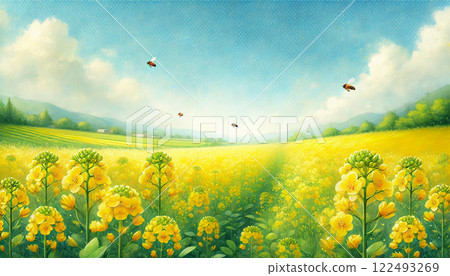 A spring landscape illustration of a rapeseed field spreading under a blue sky and bees flying around A spring landscape illustration of a rapeseed field spreading under a blue sky and bees flying around 122493269