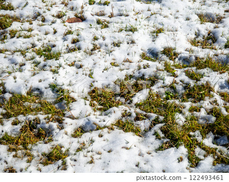 Snow on green grass. Winter in the south. Sudden snowfall. Background from snow and grass. Snow on green grass. Winter in the south. Sudden snowfall. Background from snow and grass. 122493461