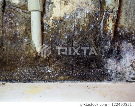 Plumbing. Mold in the bathroom. Black dots of mold and yellow plaque. Black mold Dirt on tiles. Requires cleaning. 122493531