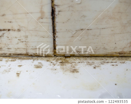 Mold in the bathroom. Black dots of mold and yellow plaque. Black mold Dirt on tiles. Requires cleaning. 122493535