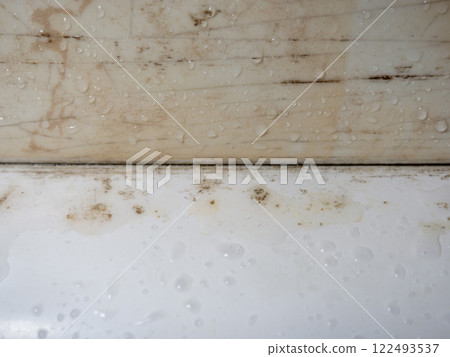 Plumbing. Mold in the bathroom. Black dots of mold and yellow plaque. Black mold Dirt on tiles. Requires cleaning. 122493537