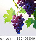 一串美味的葡萄 122493849