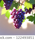 在淺色背景下拍攝的一串葡萄 122493851