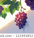 一串美味的葡萄 122493852