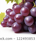 很多葡萄 122493853