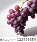 一串美味的葡萄 122493854