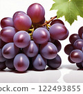 葡萄的例證 122493855