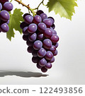 新鮮的葡萄 122493856