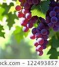 陽光下的葡萄 122493857