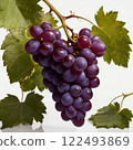 成熟的葡萄 122493869