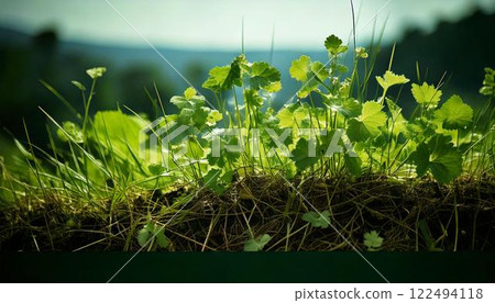 空地、荒地、雜草、土地 122494118