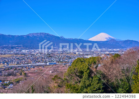 神奈川縣小田原市曾我梅林及市區景觀（小田原市、富士山、櫓山等） 122494398
