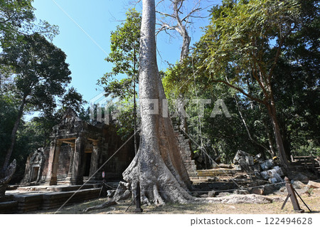 Ta Prohm temple covered by giant trees, Angkor Wat, Cambodia 122494628