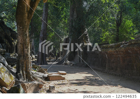 柬埔寨吳哥窟塔布蘢寺被巨樹覆蓋 柬埔寨吳哥窟塔布蘢寺被巨樹覆蓋 122494635