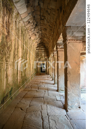 Ta Prohm temple covered by giant trees, Angkor Wat, Cambodia 122494646