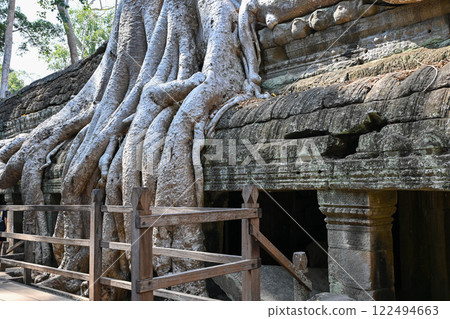 柬埔寨吳哥窟塔布蘢寺被巨樹覆蓋 柬埔寨吳哥窟塔布蘢寺被巨樹覆蓋 122494663