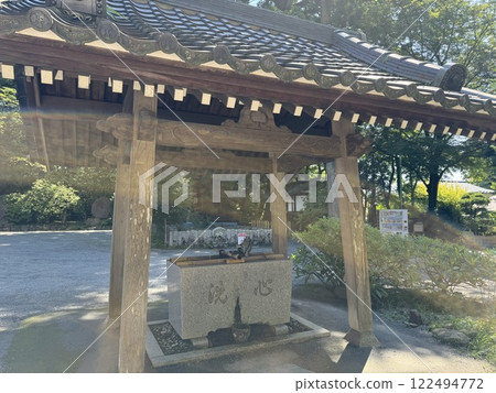 龍的光芒 122494772