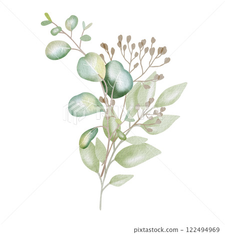 Hand-drawn watercolor illustration of elegant eucalyptus branches with lush, aromatic leaves. Perfect for wedding invitations, botanical prints, minimalist home decor, romantic greeting cards. 122494969