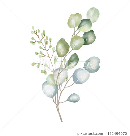 Hand-drawn watercolor illustration of elegant eucalyptus branches with lush, aromatic leaves. Perfect for wedding invitations, botanical prints, minimalist home decor, romantic greeting cards. 122494970