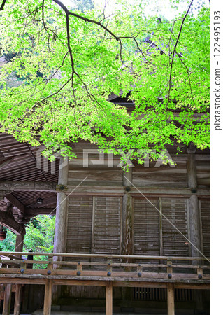 小茂神社，坐落在寧靜的山中，主建築，禮拜殿，澀川市 122495193