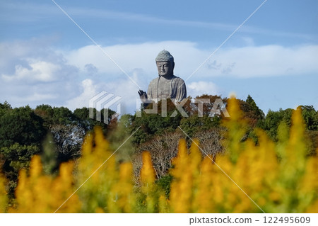 Romantic Ibaraki (The Ushiku Buddha was created in Taiwan by a Japanese Buddhist statue artist. It is a statue that is close to people's thoughts from beyond the sky.) Romantic Ibaraki (The Ushiku Buddha was created in Taiwan by a Japanese Buddhist statue artist. It is a statue that is close to people's thoughts from beyond the sky.) 122495609
