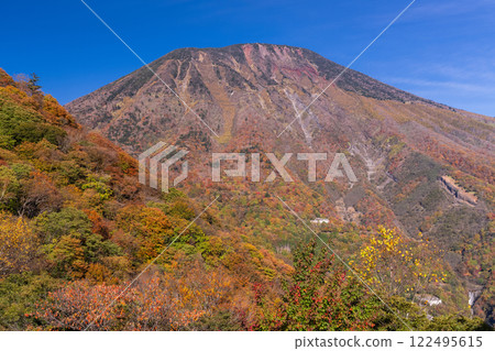 [栃木縣] 日光伊呂波坂和明智平的紅葉美景 122495615