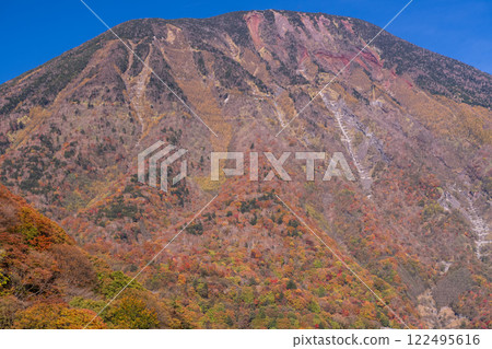 [栃木縣] 日光伊呂波坂和明智平的紅葉美景 122495616
