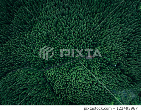 Aerial view of beautiful forest mountain landscape Aerial view of beautiful forest mountain landscape 122495967