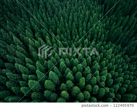 Aerial view of beautiful forest mountain landscape 122495970
