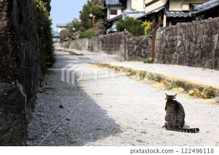 長崎縣, 長崎, 長崎, 島原市, 島原, 一月, 長崎旅遊, 武士住宅, 島原市武士住宅, 島原城, 貓步, 貓 122496118