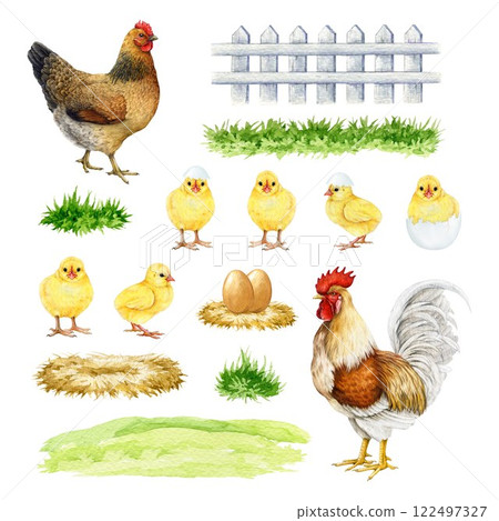 Chicken with farm elements watercolor illustration set. Hen, rooster, chicks, white fence, grassy ground painted collection isolated on white background. Cute farm bird vintage style painted set 122497327
