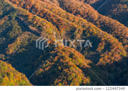 <栃木縣>奧日光的秋天和明智平的紅葉 122497340